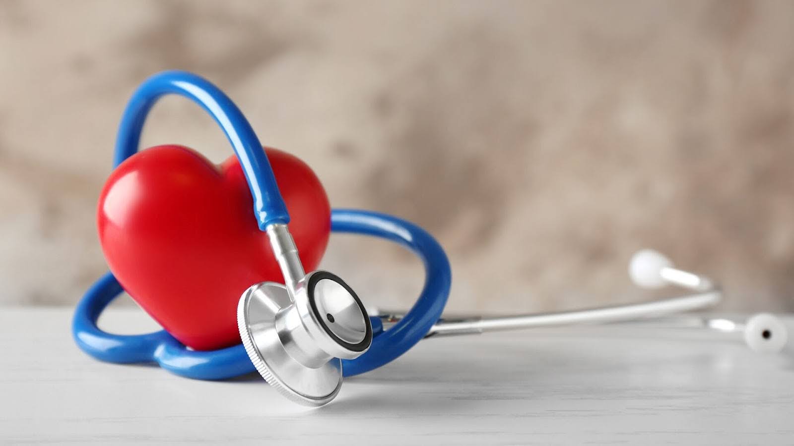 Overview of different types of healthcare insurance companies