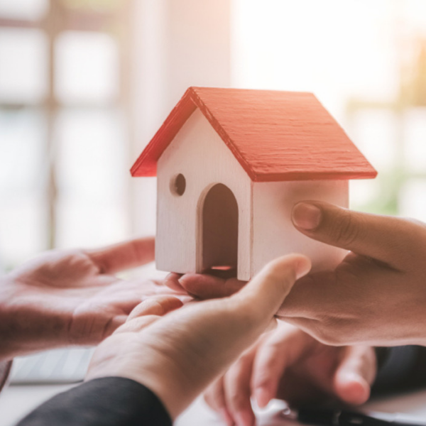 car and homeowners insurance